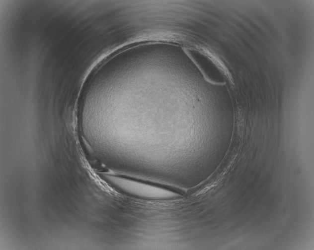 X0000082960944200702152302