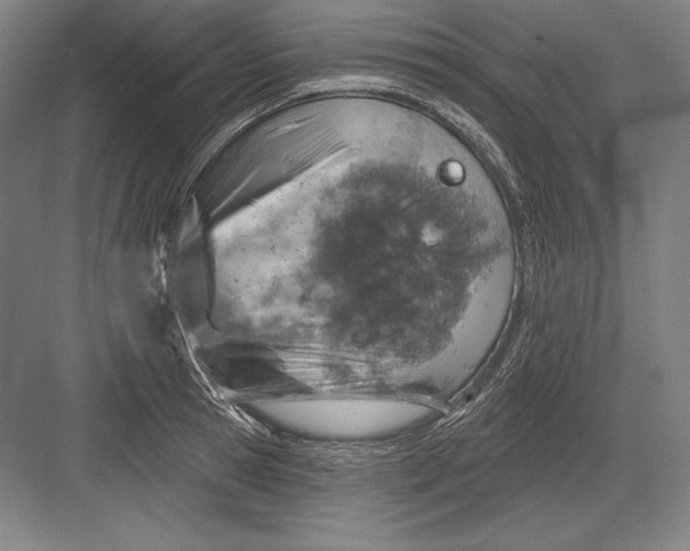 X0000082960945200702152302