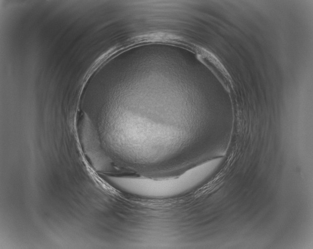 X0000082960946200702152302