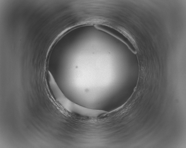 X0000082960948200702152302