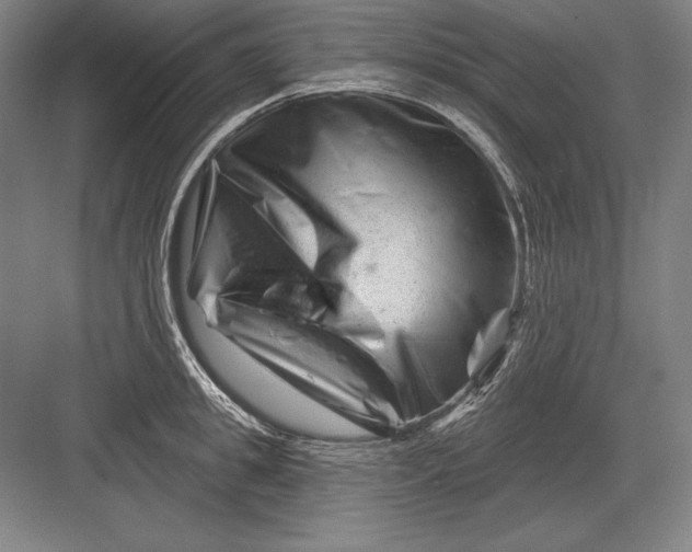 X0000082960949200702152302