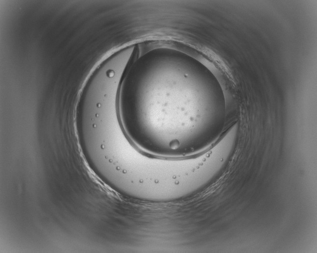 X0000082960950200702152302