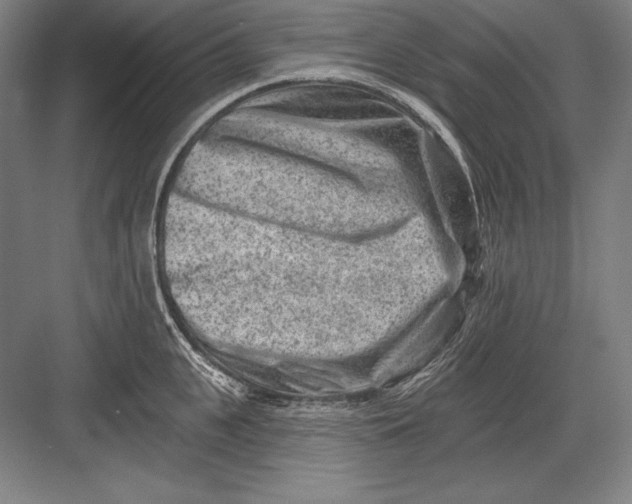 X0000082960951200702152302