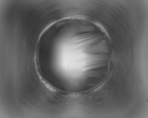 X0000082960952200702152302