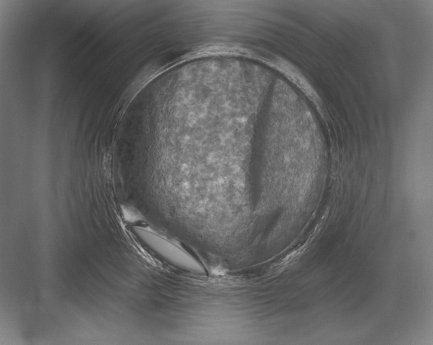 X0000082960953200702152302