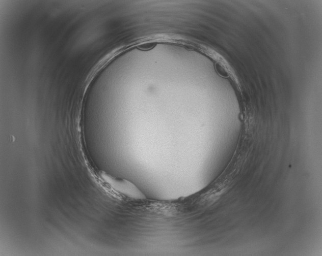 X0000082960954200702152302