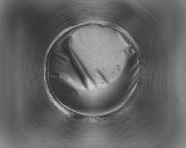 X0000082960955200702152302