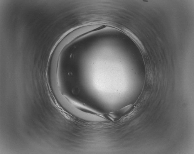 X0000082960956200702152302