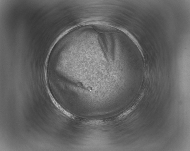 X0000082960957200702152302