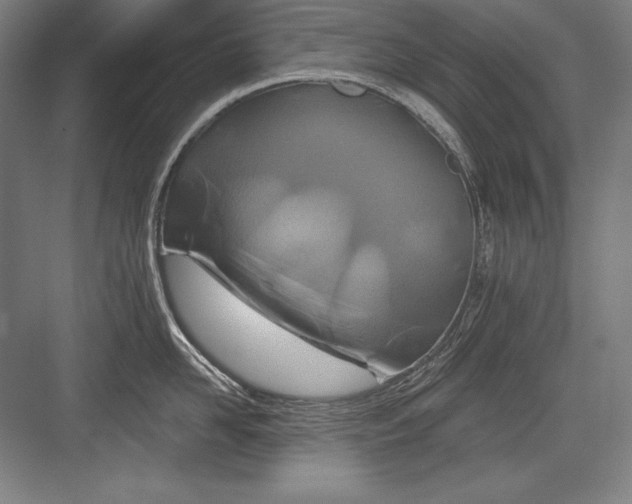 X0000082960958200702152302