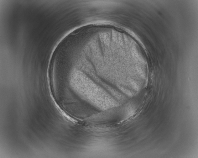 X0000082960959200702152302