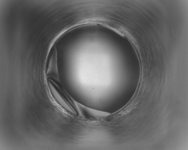 X0000082960960200702152302