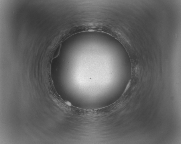 X0000082960961200702152301