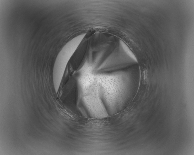 X0000082960963200702152301