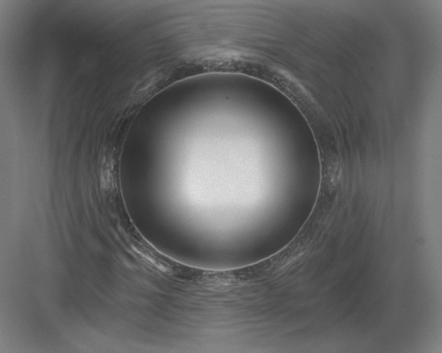 X0000082960964200702152301