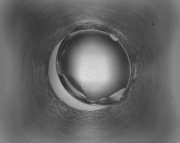 X0000082960965200702152301