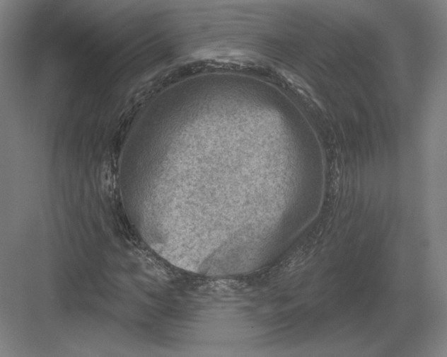 X0000082960966200702152301