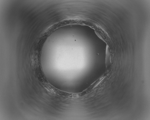 X0000082960968200702152301