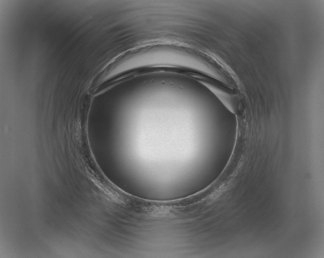 X0000082960969200702152301