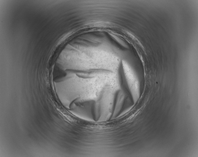 X0000082960970200702152301