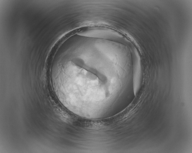 X0000082960975200702152301