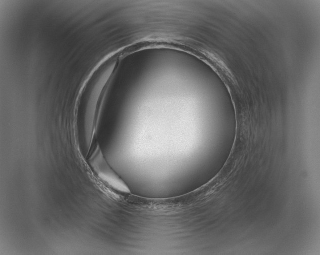 X0000082960976200702152301