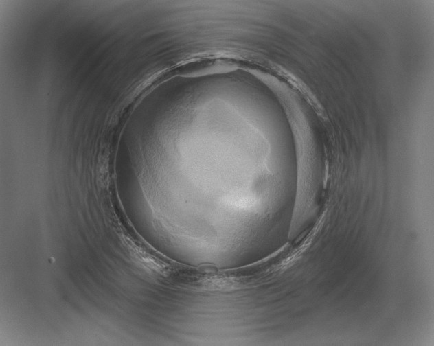 X0000082960977200702152301