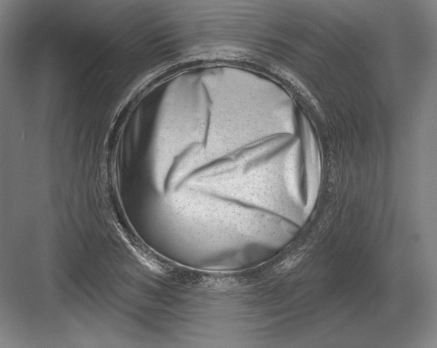 X0000082960978200702152301