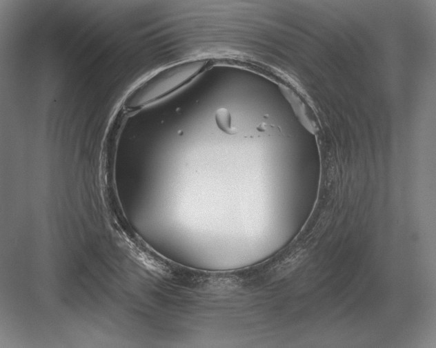 X0000082960979200702152301