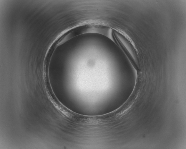 X0000082960981200702152301