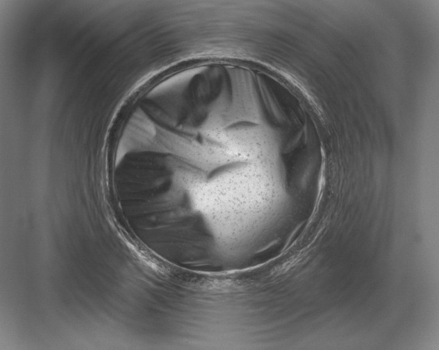 X0000082960982200702152301