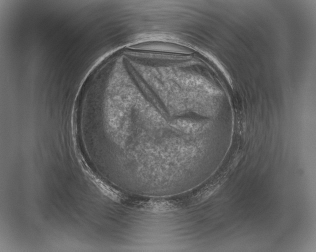 X0000082960983200702152301