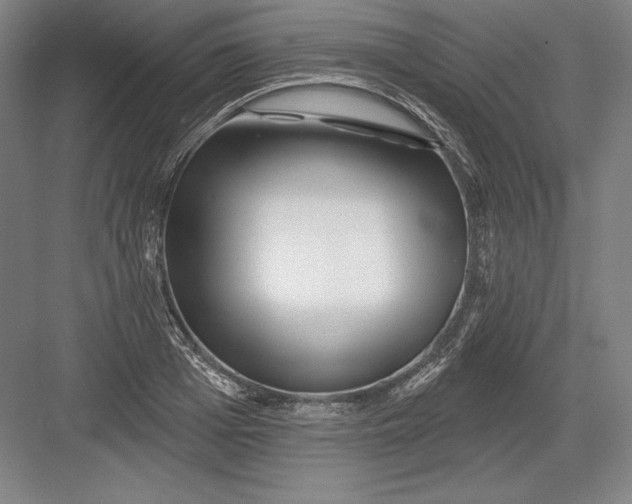 X0000082960985200702152301