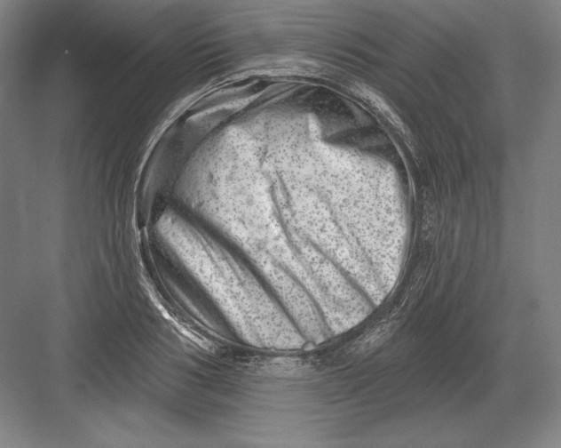 X0000082960986200702152301