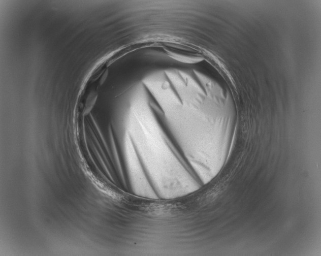 X0000082960987200702152301