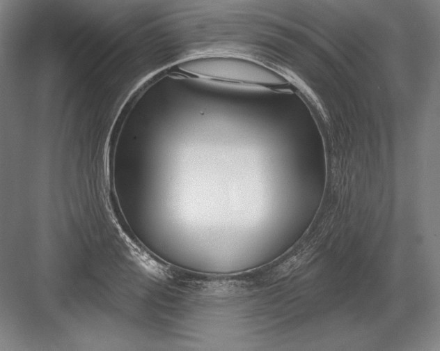 X0000082960988200702152301