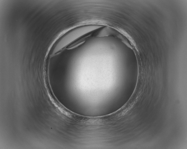 X0000082960989200702152301