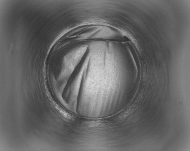 X0000082960990200702152301