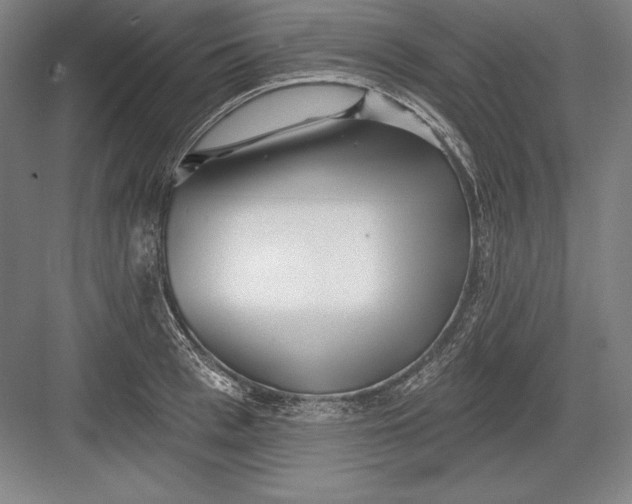 X0000082960993200702152301