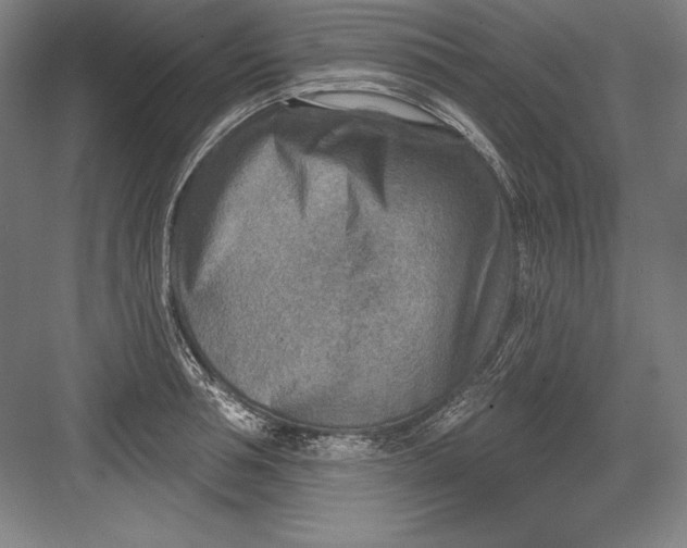 X0000082960994200702152301