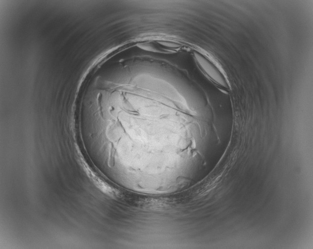 X0000082960995200702152301