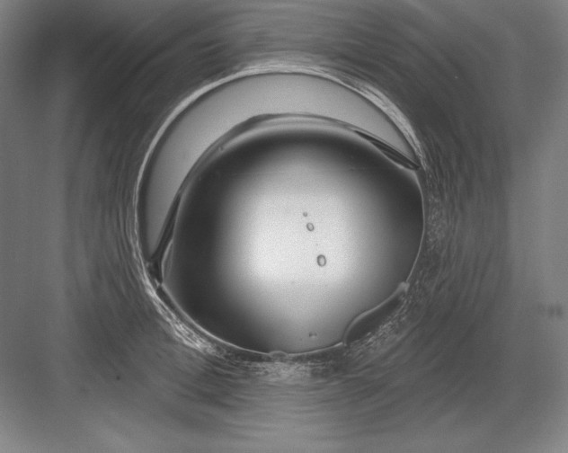 X0000082960996200702152301