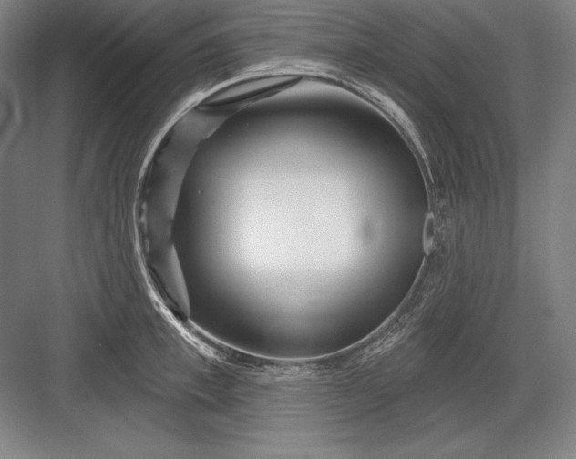 X0000082960997200702152301