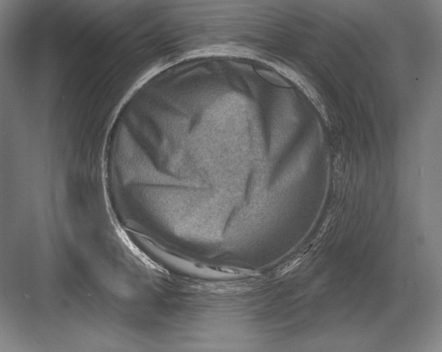 X0000082960998200702152301