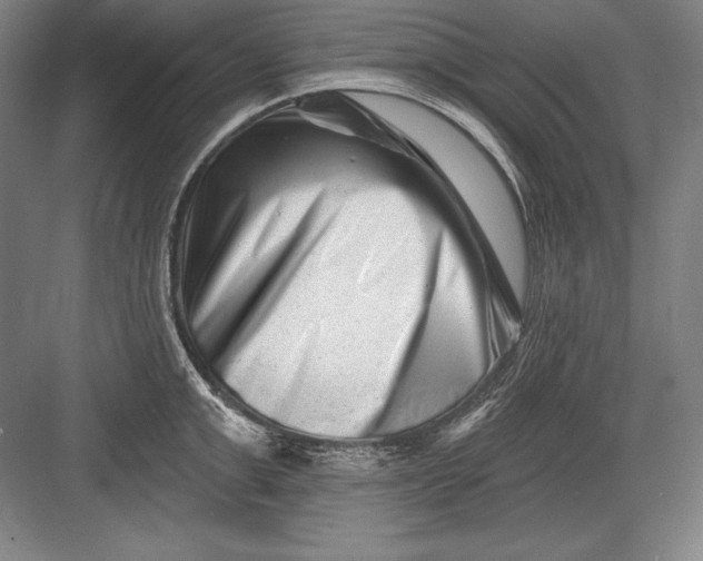 X0000082960999200702152301