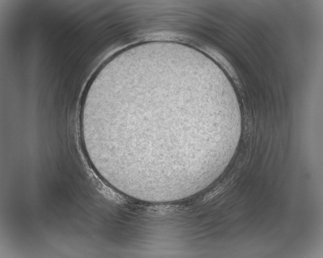 X0000082961000200702152301