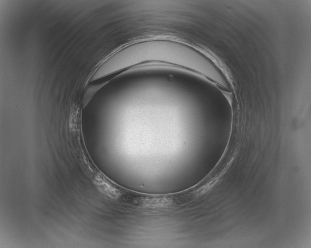 X0000082961001200702152301