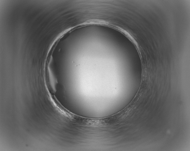 X0000082961003200702152301