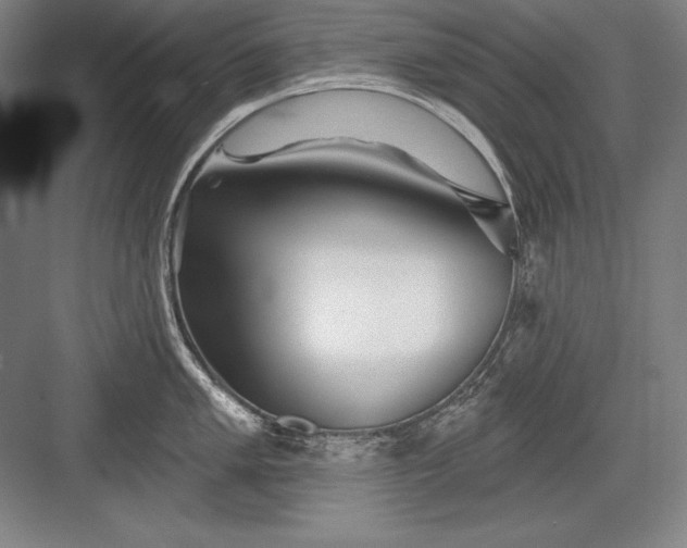 X0000082961005200702152301