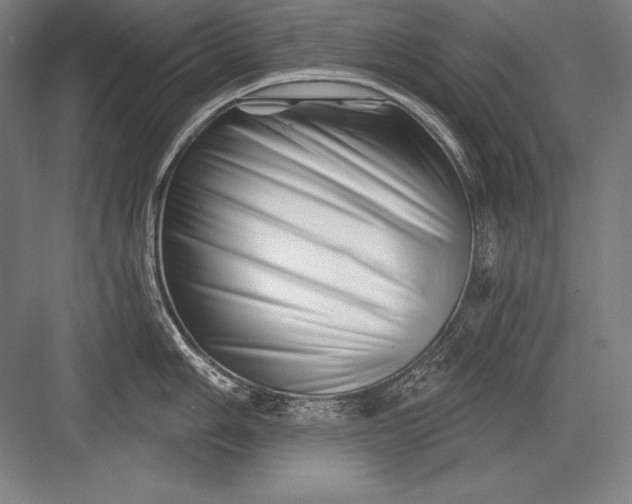 X0000082961006200702152301